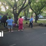 Joven mesero pierde la vida tras accidentarse en motocicleta en la carretera a Masaya Foto: Joven motociclista muere tras estrellarse contra un árbol en carretera a Masaya / TN8