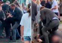 Ataque inesperado: agreden con un tomate al líder de Baviera en Alemania (VIDEO) Foto: Tomatazo contra líder político en Alemania/Cortesía