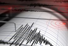 Foto: Un sismo de magnitud 6,0 sacude las costas de Japón /Cortesía