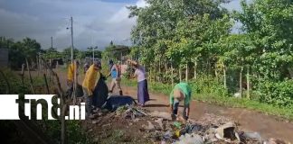 Foto: Granada dice adiós a los basureros ilegales/TN8