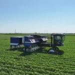 Robot chino de 108 brazos transforma el corte de algodón en Xinjiang Foto: Robot chino revoluciona cosecha de algodón/Cortesìa