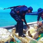 Ejército intercepta panga con seis tortugas verdes en Laguna de Perlas Foto: Interceptan tortugas verdes en Laguna de Perlas/Cortesía
