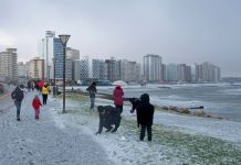 Foto: Frío polar en Argentina: nieve y riesgo en la vía pública/Cortesía