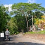 Carazo: Santa Teresa inaugura calles y drenaje en conmemoración del 47/19 Foto: Carazo: Santa Teresa inaugura adoquinado y drenaje/TN8