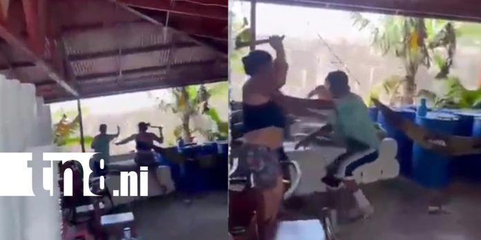 Foto: Robó chanchos en Tipitapa /TN8