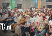 Foto: Día del Estudiante: Congreso resalta avances y desafíos de la educación nacional/TN8