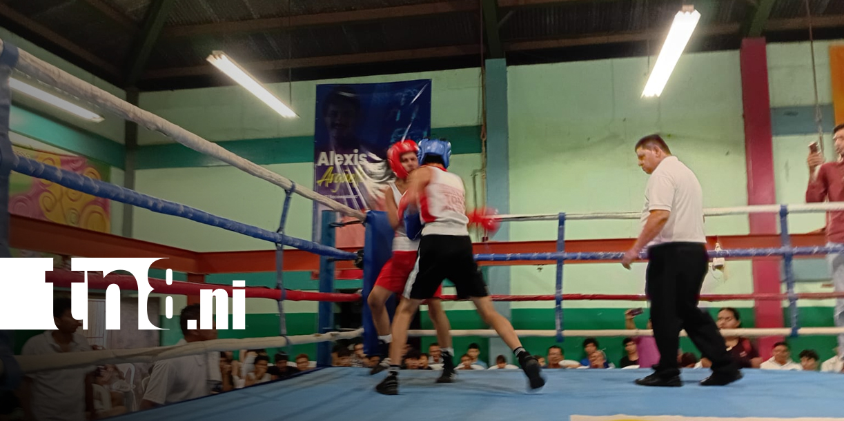 Foto: Nuevas promesas del boxeo avanzan con disciplina/TN8