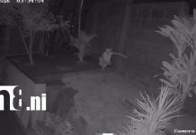 Un choque y un intento de robo quedan grabados por cámaras de seguridad en Managua Foto: Dos hechos captados en video sacuden Managua: choque e intento de robo/TN8