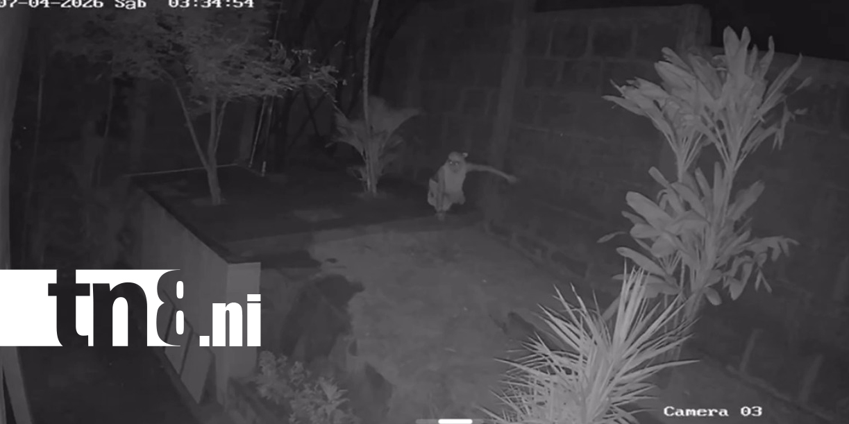 Foto: Dos hechos captados en video sacuden Managua: choque e intento de robo/TN8