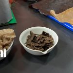 Del laboratorio a la solución: jóvenes impulsan la biotecnología con proyectos innovadores en Nicaragua Foto: Biotecnología impulsa proyectos innovadores en Nicaragua/TN8