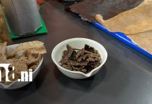 Del laboratorio a la solución: jóvenes impulsan la biotecnología con proyectos innovadores en Nicaragua Foto: Biotecnología impulsa proyectos innovadores en Nicaragua/TN8