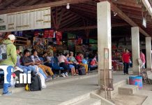 Terminal de Buses de Ocotal inicia obras de modernización y mayor seguridad Foto: Modernizan Terminal de Buses de Ocotal/TN8