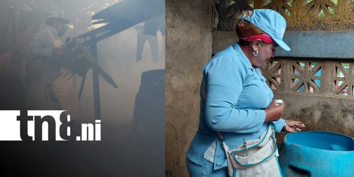 Foto: MINSA combate el dengue en Germán Pomares/TN8