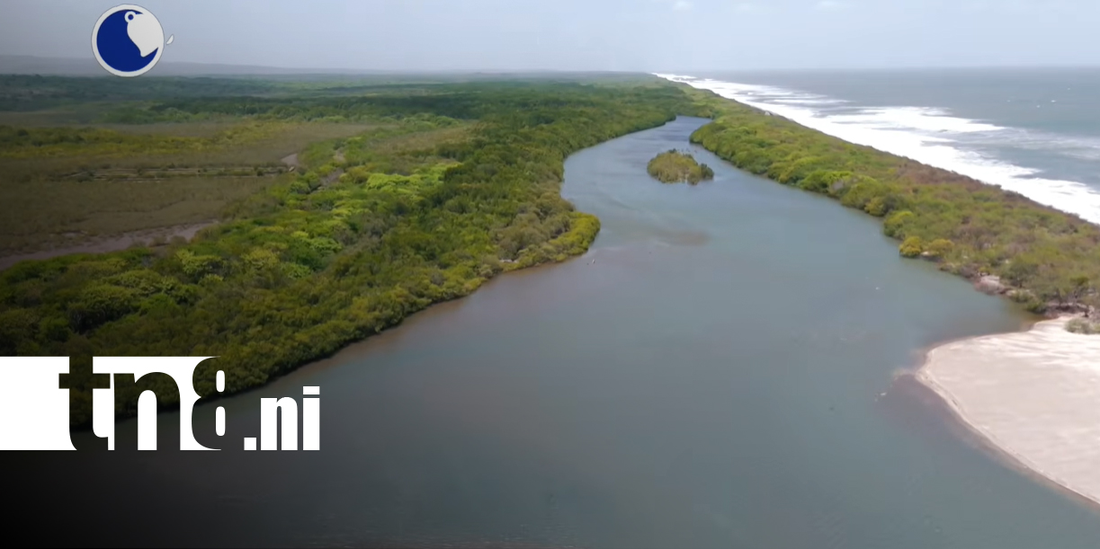 Foto: Isla Juan Venado, ejemplo de conservación de los manglares en Nicaragua/TN8