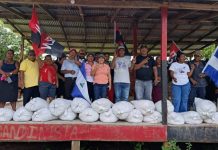 Pequeños productores impulsan el arroz de secano con nuevas tecnologías en Nicaragua Foto: Nicaragua impulsa innovación agrícola en la producción de arroz de secano/Cortesía