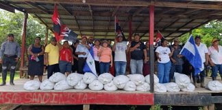 Foto: Nicaragua impulsa innovación agrícola en la producción de arroz de secano/Cortesía