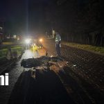 Foto: Motociclista resulta lesionado tras impactar contra una vaca en Jalapa, Nueva Segovia/TN8