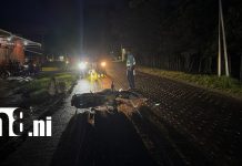Foto: Motociclista resulta lesionado tras impactar contra una vaca en Jalapa, Nueva Segovia/TN8