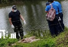 María Vanessa habría conocido a su presunto asesino: «Chuchuca» permanece bajo custodia policial Foto: Asesinato de María Vanessa: "Chuchuca" bajo custodia/TN8