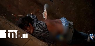 Foto: Mujer gravemente lesionada tras ser atropellada/TN8