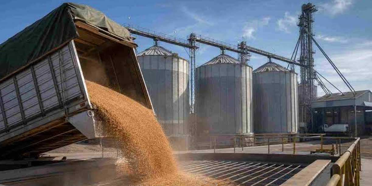 Foto: Calor en EE.UU. alerta al mercado de granos/Cortesía