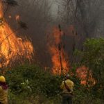 Bolivia declara desastre en San Lorenzo por incendios forestales fuera de control Foto: Bolivia declara desastre en San Lorenzo por incendios forestales fuera de control / Cortesía