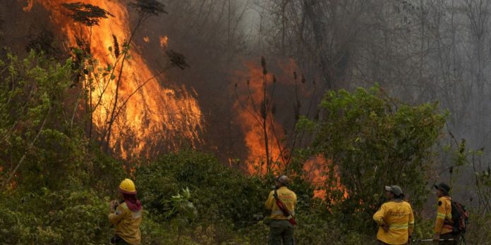 2 Foto: Bolivia declara desastre en San Lorenzo por incendios forestales fuera de control / Cortesía