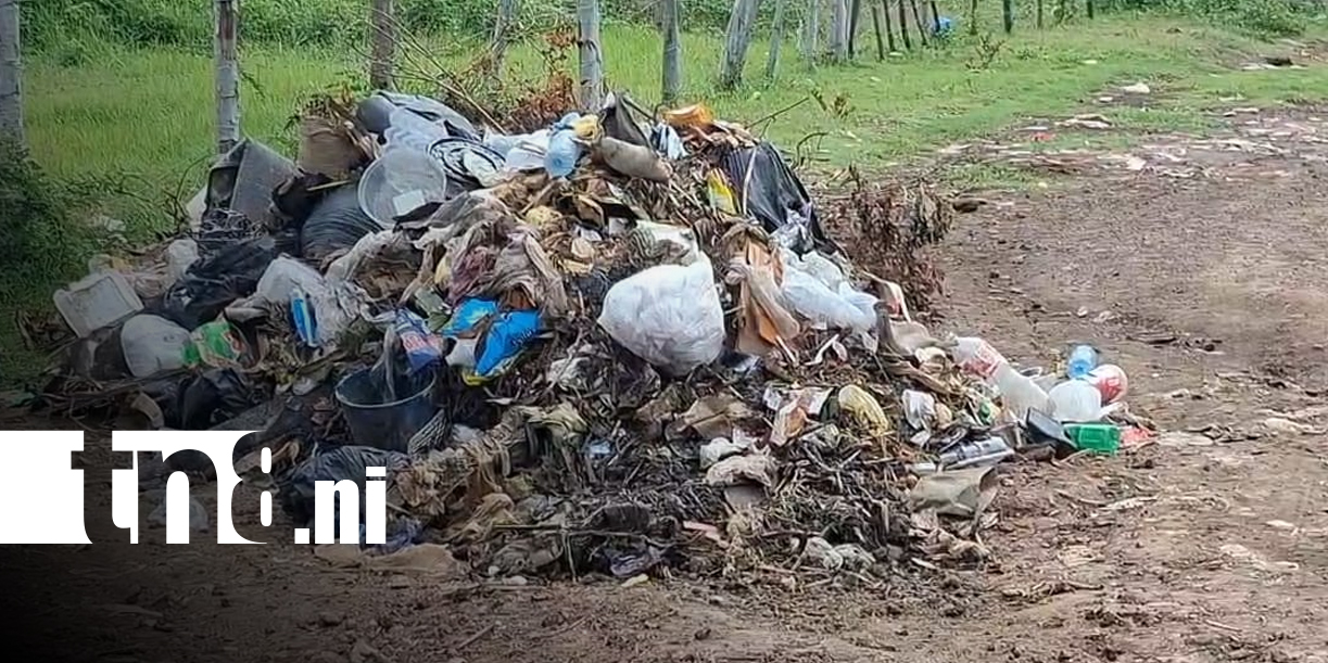 Foto: Granada dice adiós a los basureros ilegales/TN8