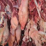Producción de carne bovina supera las 213 millones de libras en Nicaragua Foto: Producción de carne bovina supera las 213 millones de libras en Nicaragua/Cortesía