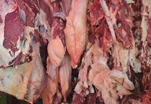 Producción de carne bovina supera las 213 millones de libras en Nicaragua Foto: Producción de carne bovina supera las 213 millones de libras en Nicaragua/Cortesía