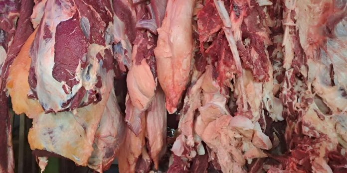 2 Foto: Producción de carne bovina supera las 213 millones de libras en Nicaragua/Cortesía