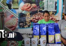 Foto: Expo feria del café promueve el talento joven en barismo desde Madriz/TN8