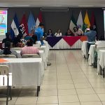 Foto: Educación: docentes participan en diplomado sobre sexualidad/TN8