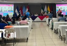 Foto: Educación: docentes participan en diplomado sobre sexualidad/TN8