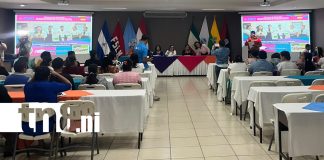 Foto: Educación: docentes participan en diplomado sobre sexualidad/TN8