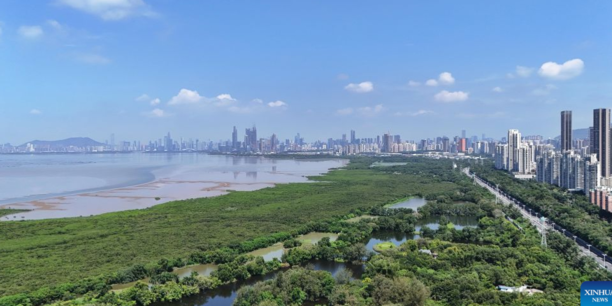Foto: Manglares: China inaugura centro internacional/Cortesìa