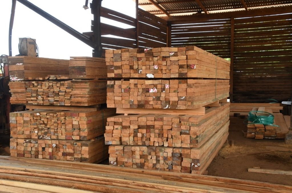Foto: Nicaragua fortalece exportaciones forestales en 2026/Cortesía