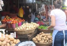 Foto: Canasta: ocho productos mantienen su precio en Nicaragua/TN8