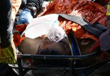 Foto: Rescate de Hernán Gil tras ocho días bajo los escombros/Cortesìa