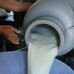 Foto: MAG reporta crecimiento del acopio de leche al cierre de junio/Cortesía