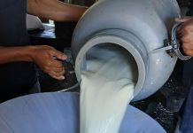Foto: MAG reporta crecimiento del acopio de leche al cierre de junio/Cortesía
