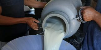 Foto: MAG reporta crecimiento del acopio de leche al cierre de junio/Cortesía