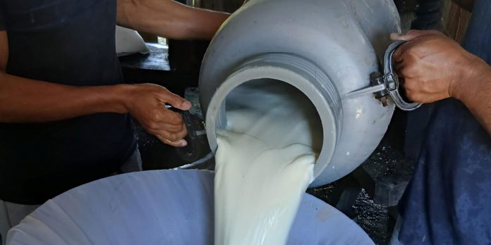 Foto: MAG reporta crecimiento del acopio de leche al cierre de junio/Cortesía