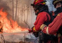 Foto: España declara 211 zonas de catástrofe/Cortesía