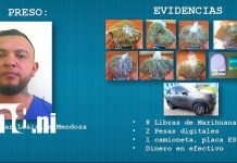 Foto: Capturan a dos sujetos y ocupan 24 libras de marihuana en Estelí/TN8