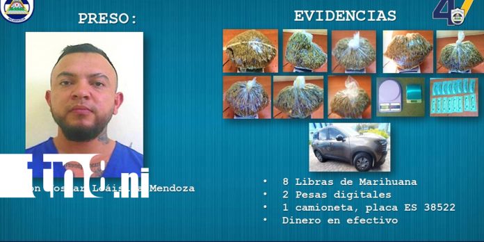Foto: Capturan a dos sujetos y ocupan 24 libras de marihuana en Estelí/TN8