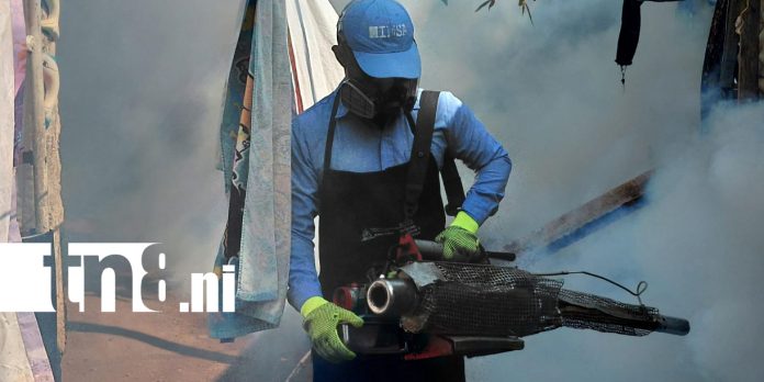 Foto: Dengue: brigadas médicas visitan barrio Ayapal/TN8