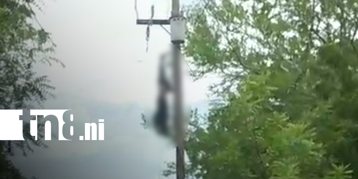Foto: Fatal descarga eléctrica cobra la vida de un hombre en carretera Nueva a León / TN8
