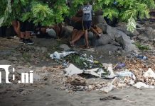 Tragedia en Xiloá: hombre muere ahogado tras ingresar al lago para darse un chapuzón Foto: Hombre muere ahogado tras chapuzón en Xiloá/TN8