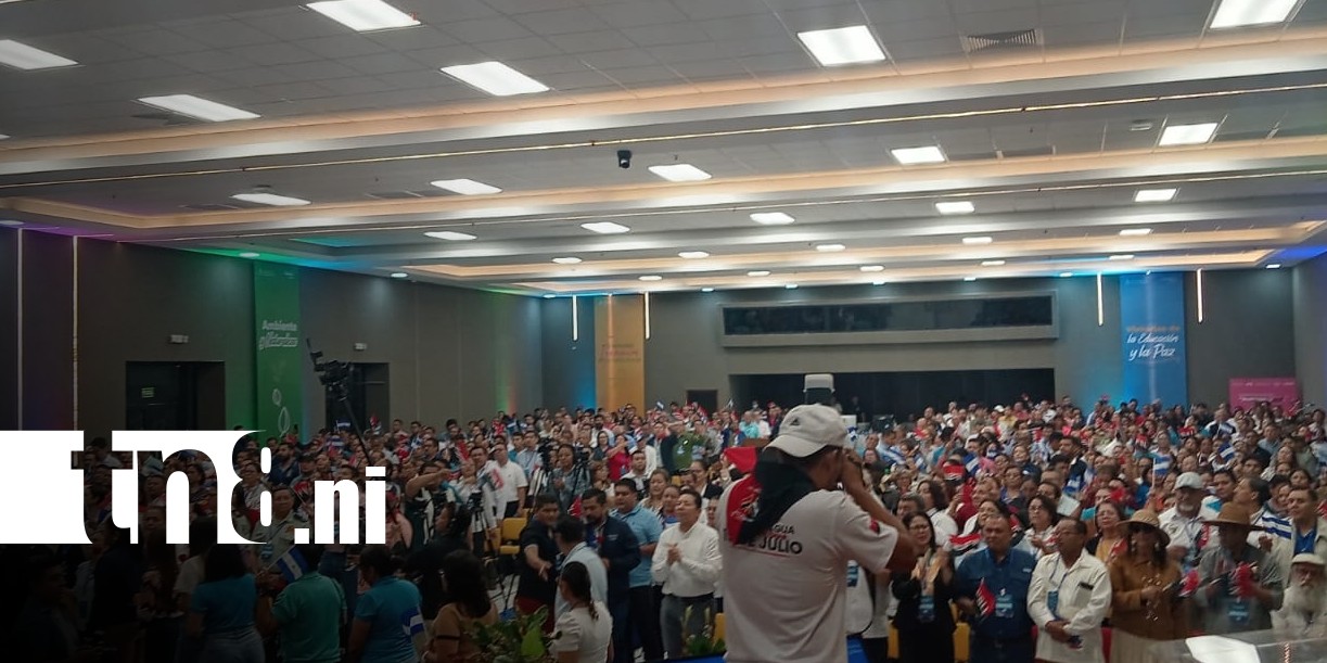 Foto: Día del Estudiante: Congreso resalta avances y desafíos de la educación nacional/TN8
